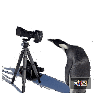 西乡网店摄影培训中心深圳西乡的摄影培训学校