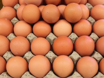 泽山家庭农场鸡蛋销售批发