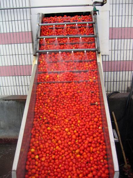 生产设备丨草莓酱生产线丨草莓生产设备丨草莓汁生产线