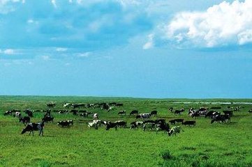2018中国贵阳生态高效畜牧业交易会