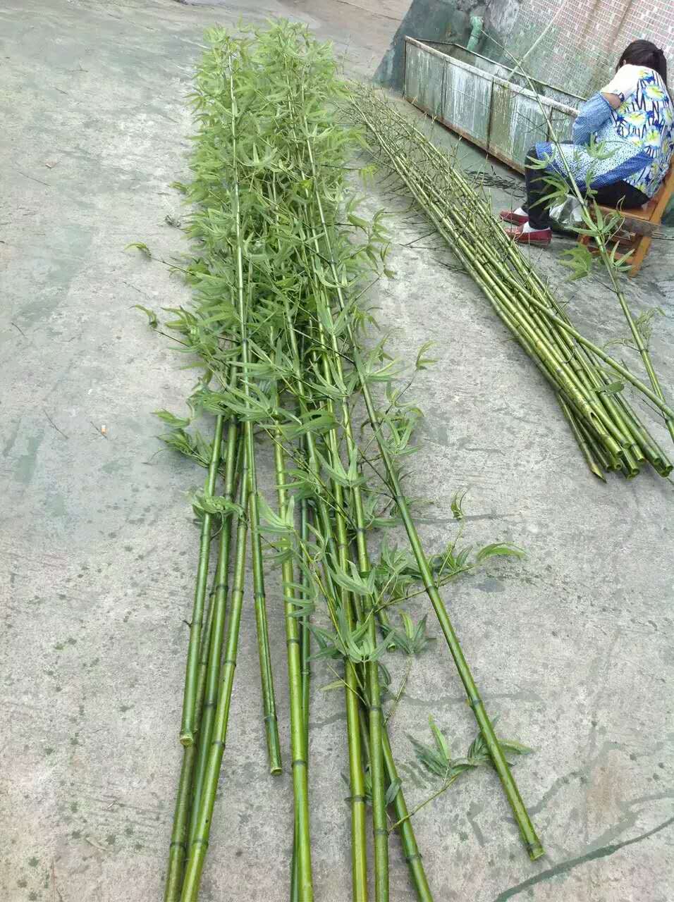 仿真竹子 竹排屏风隔断 假竹子 塑料竹子