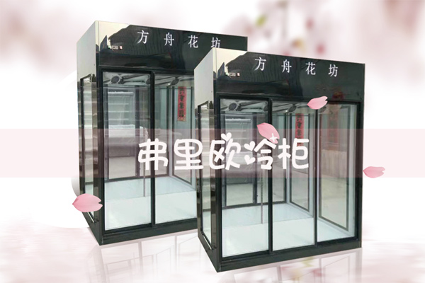 南京豪华鲜花展示柜定做 全国联保