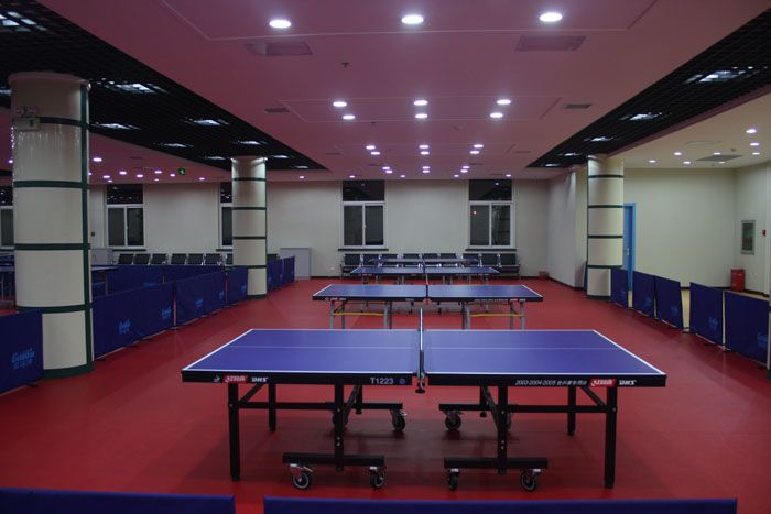 安阳室内乒乓球场专用PVC运动地板厂家