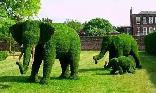 大象绿雕 园艺动物绿雕 假植物制作动物