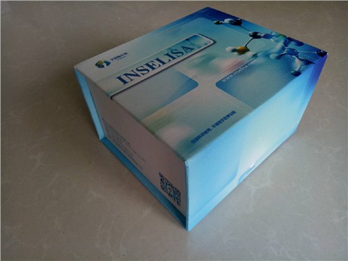 人IL-16ELISA试剂盒_人白细胞介素16试剂盒价格