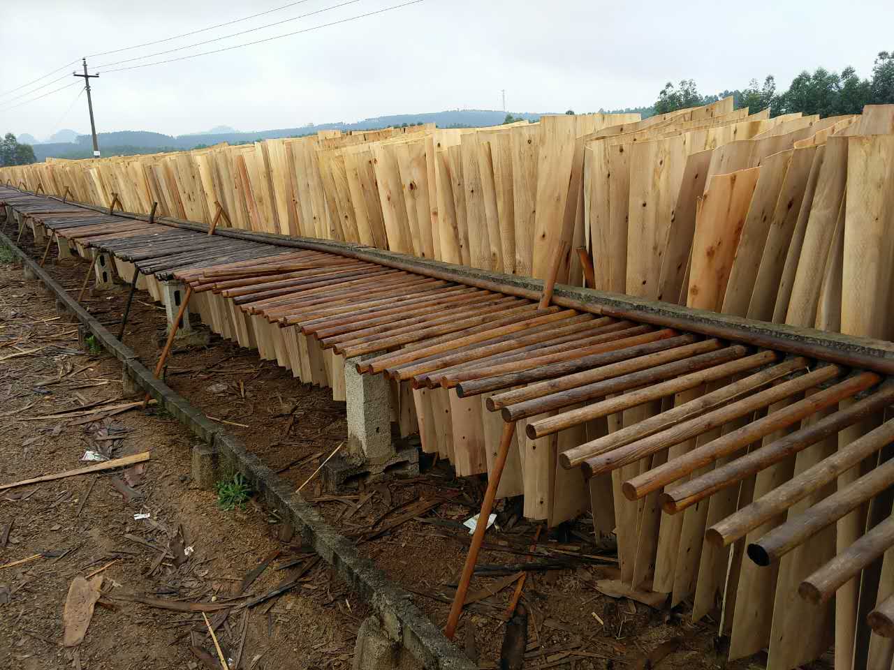 广西鲁安长期销售供应桉木单板