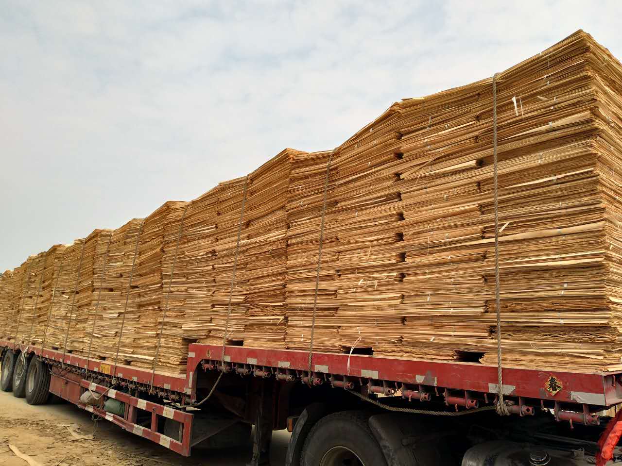 广西鲁安大量生产销售各种规格桉木单板