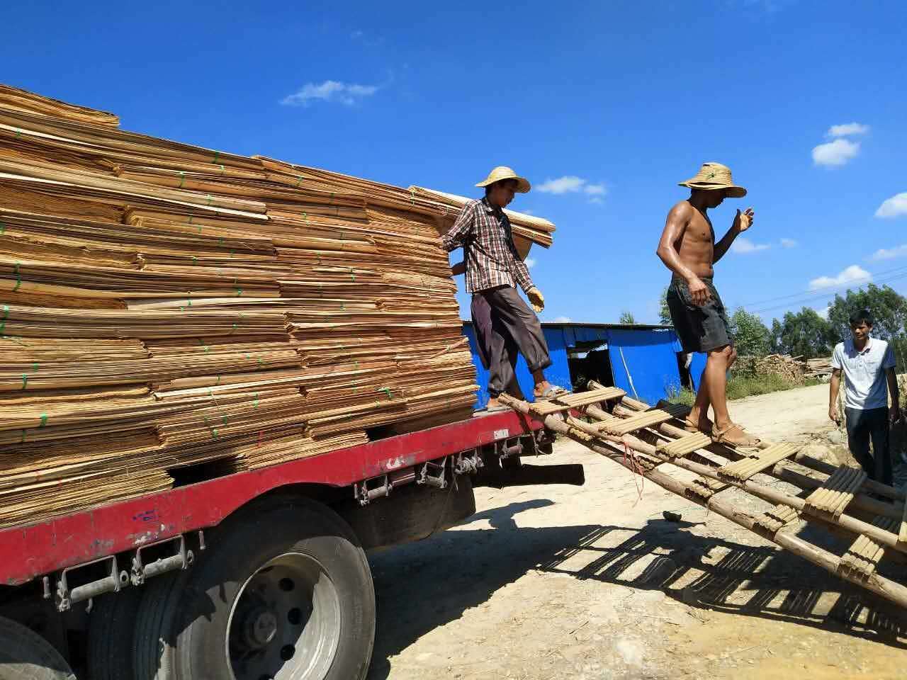 广西安常年生产供应桉木单板 各种规格