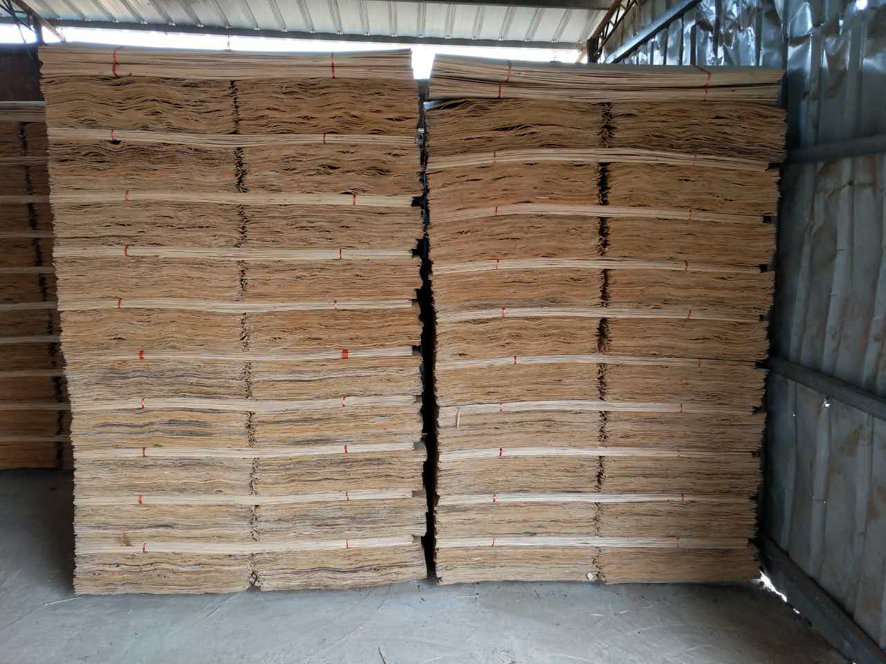 广西鲁安常年供应桉木单板，各种规格 量大从优