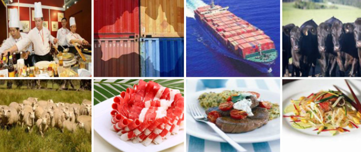 巴西冻肉冻品进口报关流程和进口资质