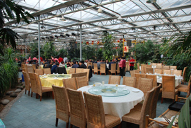 内蒙古蘑菇温室+黑龙江生态餐厅