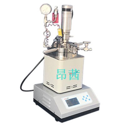 供应500J0型实验用机械搅拌微型反应釜