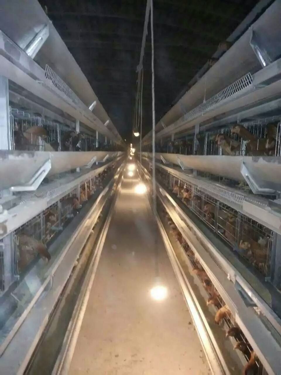 新型层叠蛋鸡笼全自动养鸡设备性价比高的厂家