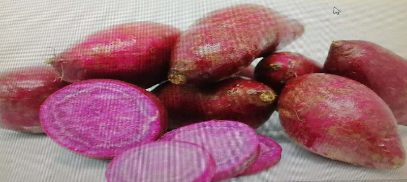 山东龙口紫薯的营养成分