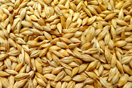 小麦粮食收购，小麦粮食销售