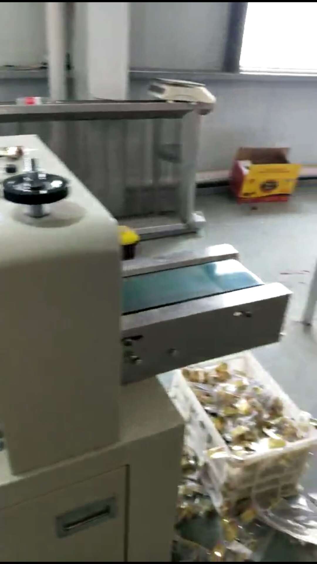 红枣包装机 大枣包装生产线 红枣包装生产线