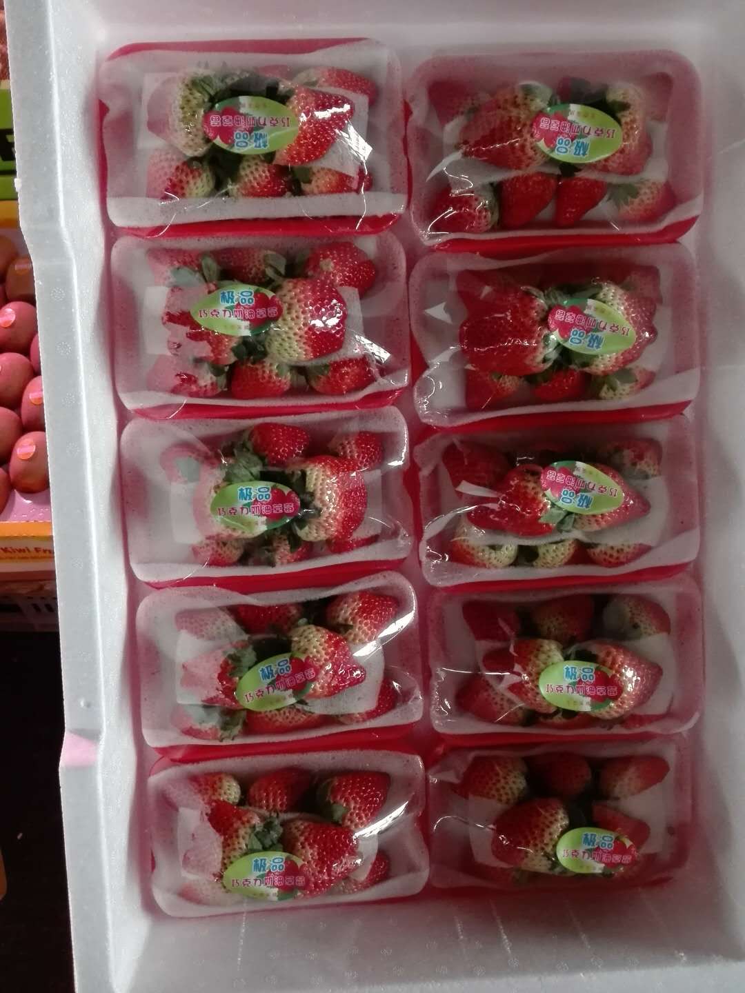 收购长丰草莓