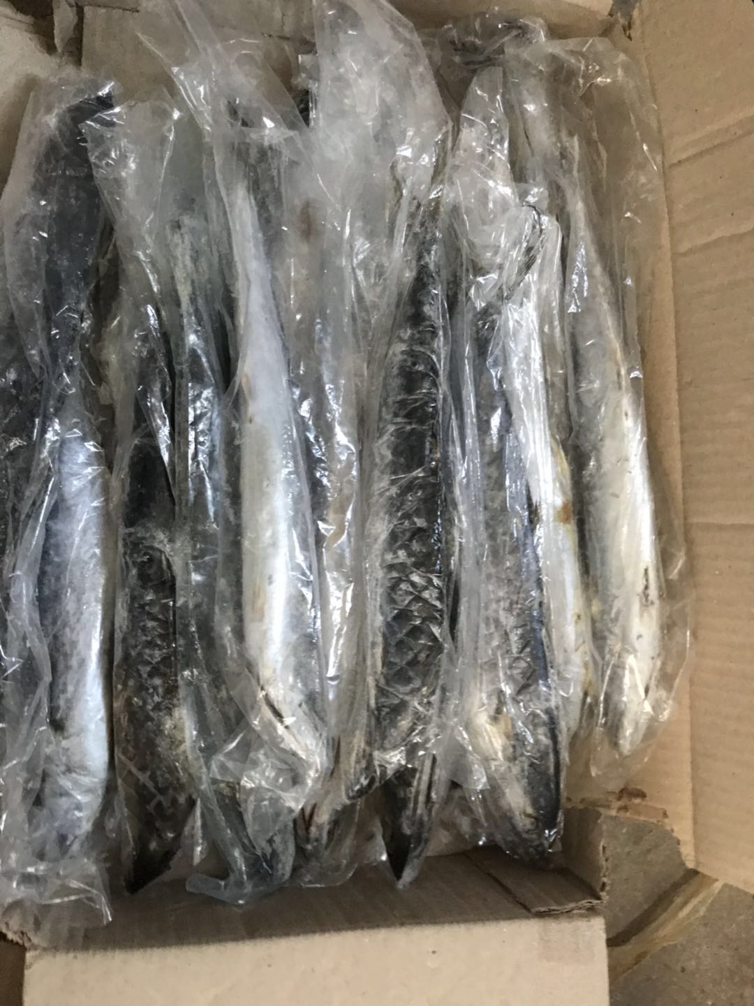 山东龙口鲅鱼的营养分析