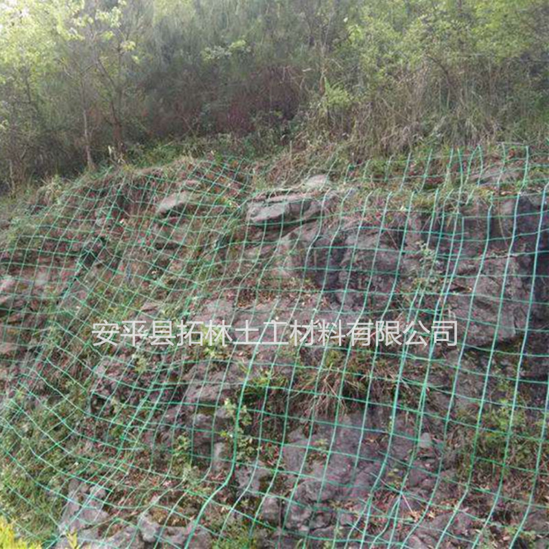 边坡绿化攀爬网厂家 绿色大孔钢塑格栅挂网 20*20公分网孔