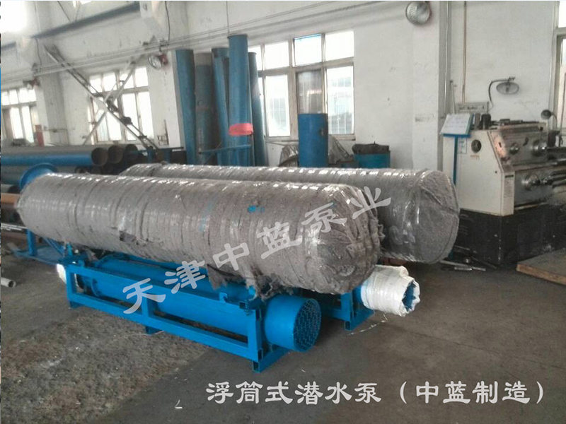 质量好的浮筒式水泵市场价格-中国浮筒式水泵