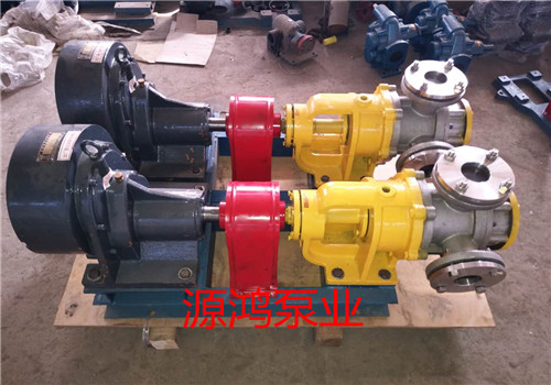 沧州源鸿泵业NYP30-1.0高粘度转子泵，耐腐蚀高粘度齿轮泵