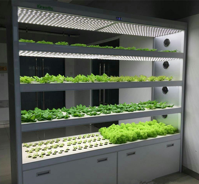 室内制氧家庭型蔬菜种植机植物净化器