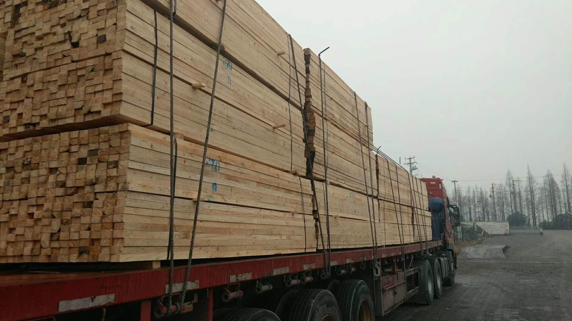 上海樟子松建筑木方