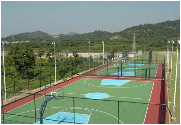 安平艾斯欧厂家提供优质体育场防护网