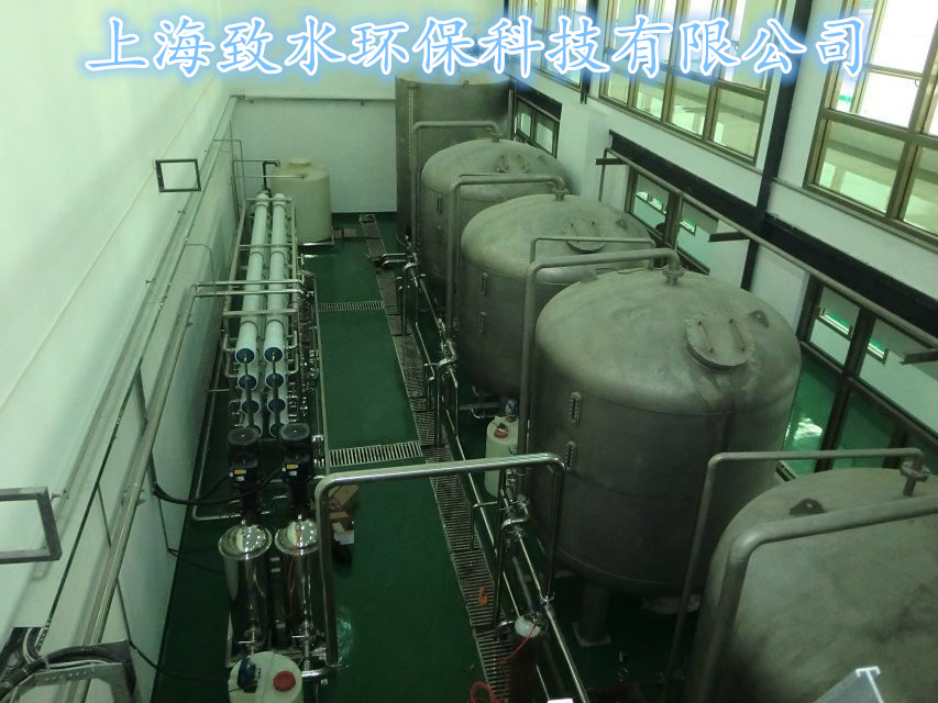 啤酒行业纯净水设备ZSFB-B5000L啤酒生产用纯水设备