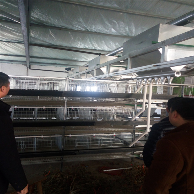 河南华顺厂家养殖设备阶梯蛋鸡笼层叠笼上料机清粪机环保型养鸡