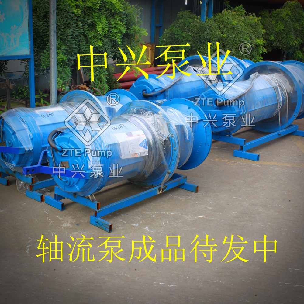 潜水轴流泵生产制造厂家