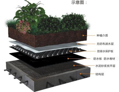 上海车库排水板价格*上海排水板生产厂家