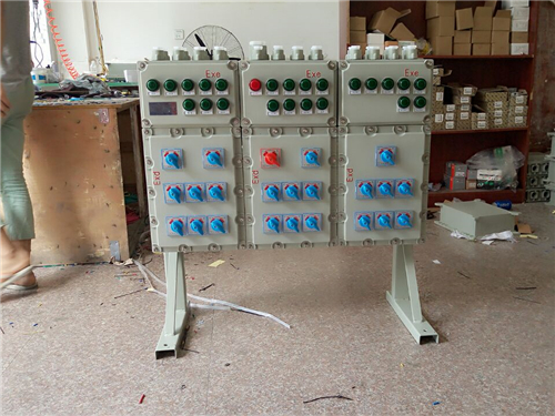 BXMD53-12KXX防爆配电箱