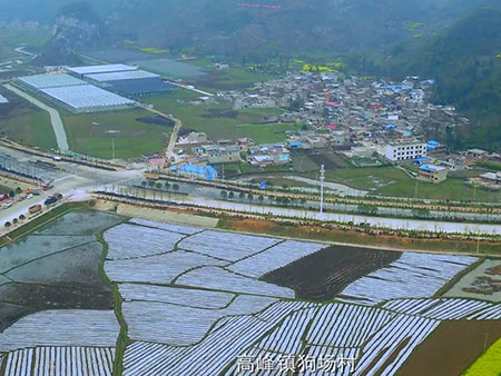 三江农业打造高科技农旅产业园