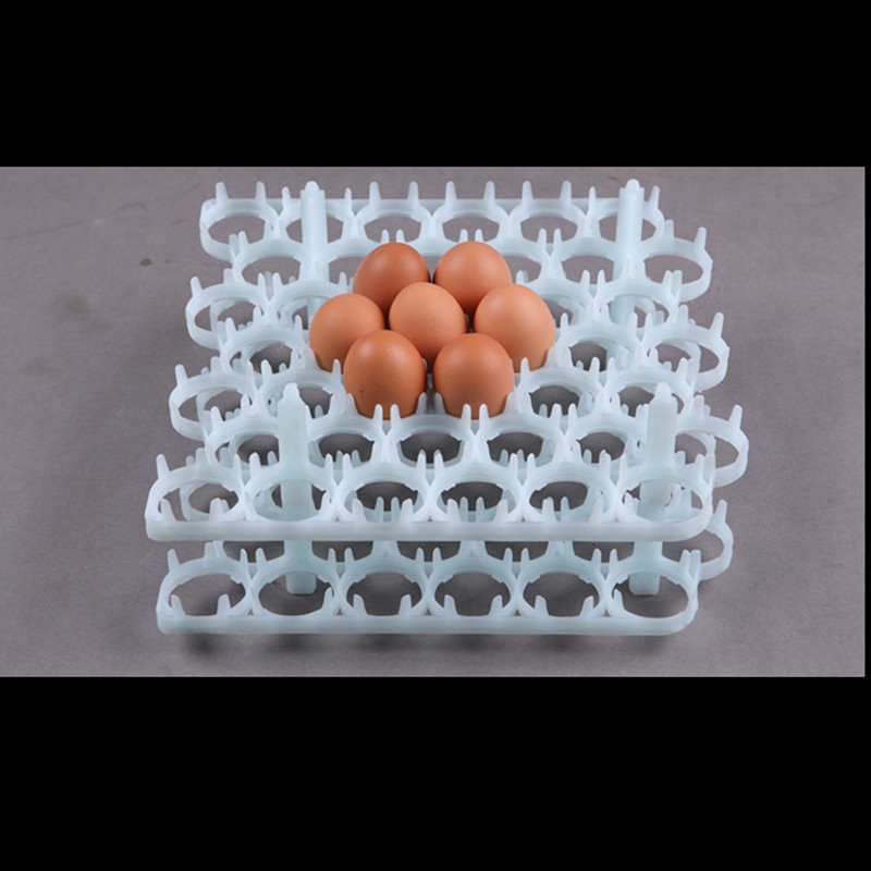 厂家大量批发种蛋托 塑料蛋托 蛋盘 孵化机用配件
