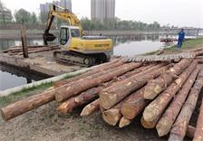 庭轩木材贸易商批发南洋杉杉木支撑小杆建筑打桩木