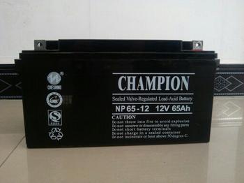 冠军蓄电池NP65-12蓄电池 12V65AH报价 UPS**