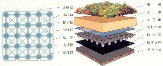 忻州屋顶花园排水板 屋顶花园排水板