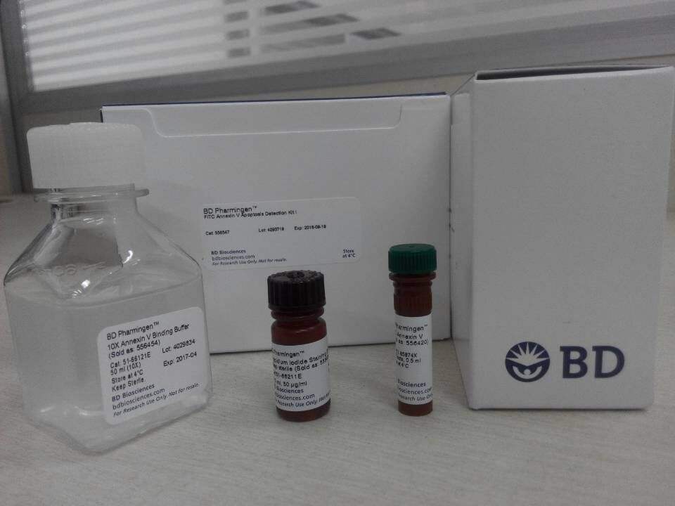 bd 556547 AnnexinV-FITC/PI细胞凋亡双染试剂盒