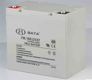 鸿贝蓄电池12V55AH 型号FM/BB1255T原装价格
