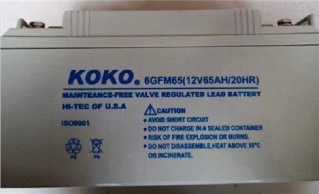 KOKO可可蓄电池经销价格