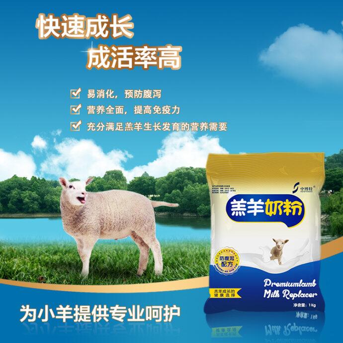 要如何饲养缺奶小奶的羔羊要喝什么样的小羊奶粉