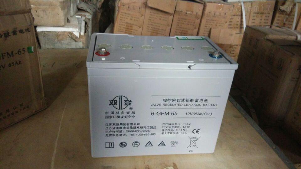 成都双登蓄电池 6-GFM-100 12v100AH品牌