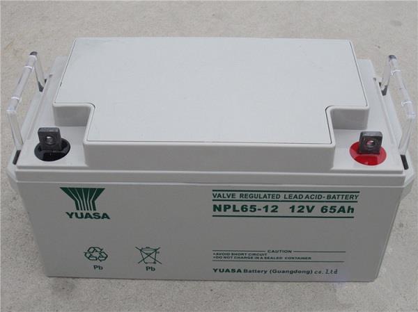 汤浅蓄电池NP100-12 12V100AH加工 提供安全稳定的电源