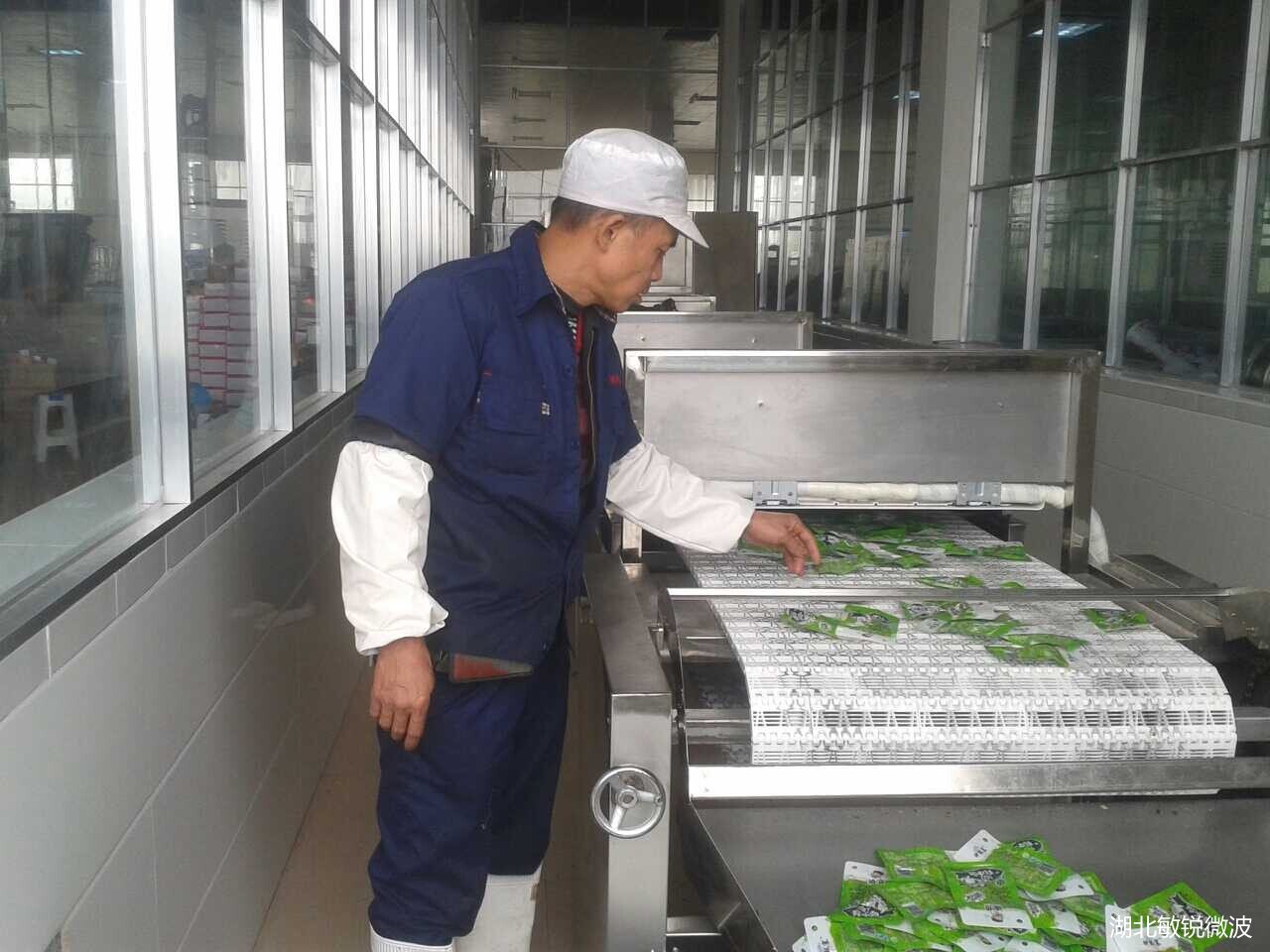 黑龙江豆类产品微波熟化机
