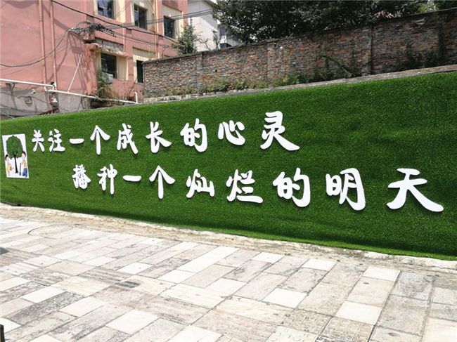昆山仿真草坪围墙制作 昆山绿化围墙**塑料草坪制作