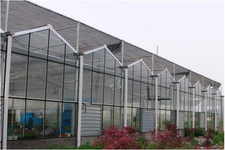 玻璃温室大棚大跨度大开间温室生产发货配件连栋尖**生产厂家