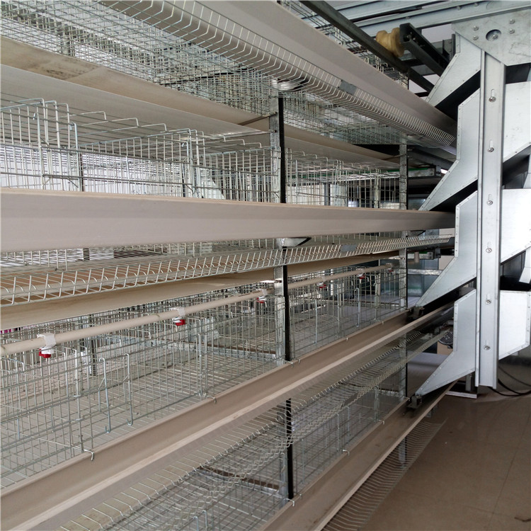 现代化蛋鸡笼网系统层叠蛋鸡笼高效环保科学养鸡