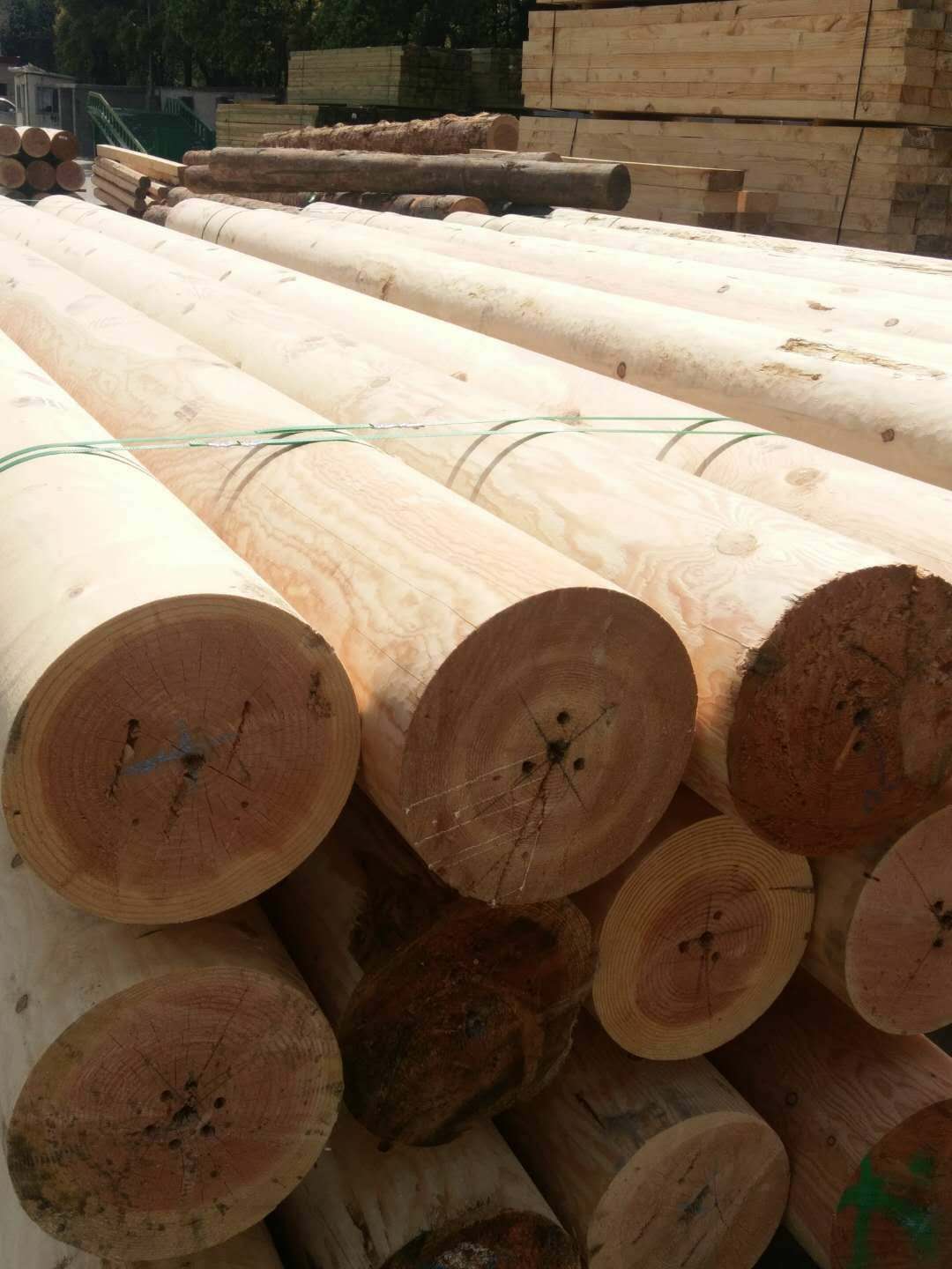 巴劳木是什么木材|巴劳木一手材厂家|巴劳木板材厂家