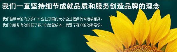 东莞惠州到洛阳物流货运公司专线直达 一站式物流解决方案